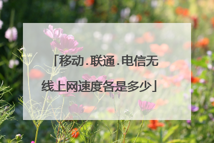 移动.联通.电信无线上网速度各是多少