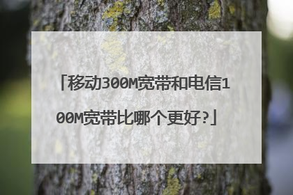移动300M宽带和电信100M宽带比哪个更好?