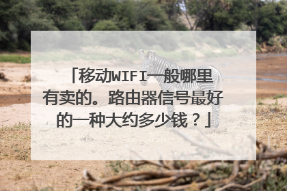 移动WIFI一般哪里有卖的。路由器信号最好的一种大约多少钱？