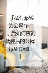 私有ip转为公网ip ,后如何查询转换后的公网ip及其端口