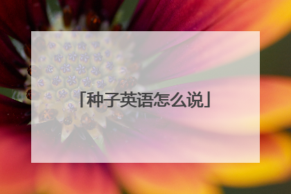 种子英语怎么说