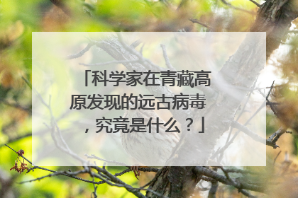 科学家在青藏高原发现的远古病毒,究竟是什么?