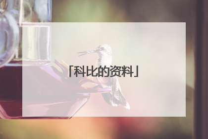 科比的资料
