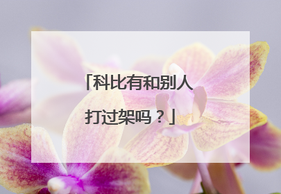 科比有和别人打过架吗？