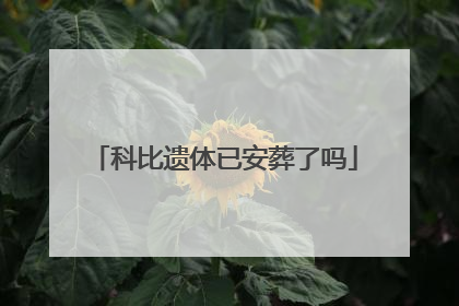科比遗体已安葬了吗