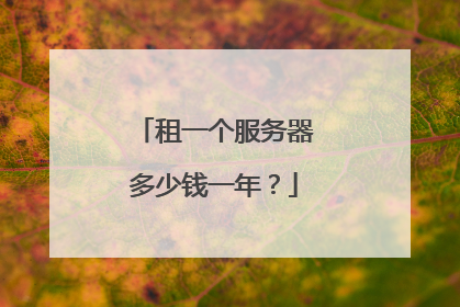 租一个服务器多少钱一年?