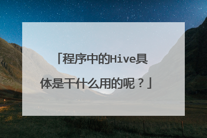 程序中的Hive具体是干什么用的呢?
