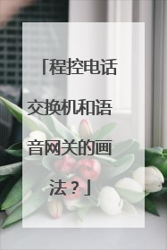 程控电话交换机和语音网关的画法？
