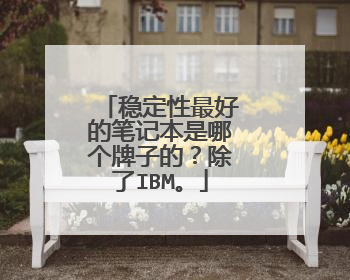 稳定性最好的笔记本是哪个牌子的？除了IBM。