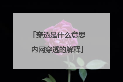 穿透是什么意思 内网穿透的解释