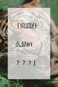 究竟什么是BT???