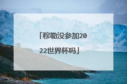 穆勒没参加2022世界杯吗