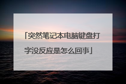 突然笔记本电脑键盘打字没反应是怎么回事