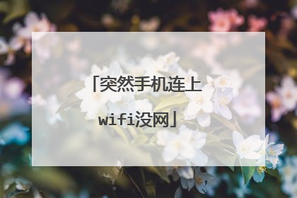 突然手机连上wifi没网