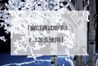 窗口调试助手3.7.1怎么使用