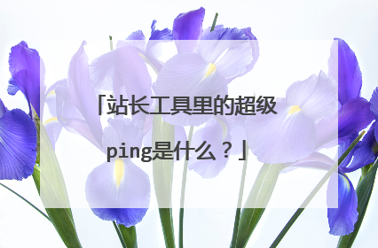 站长工具里的超级ping是什么?