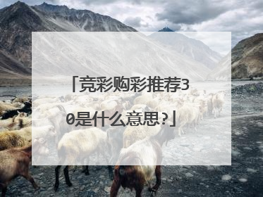 竞彩购彩推荐30是什么意思?