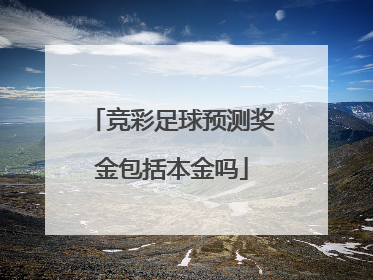 竞彩足球预测奖金包括本金吗