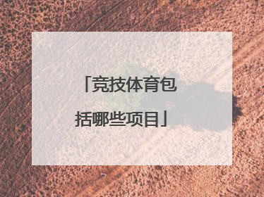 竞技体育包括哪些项目