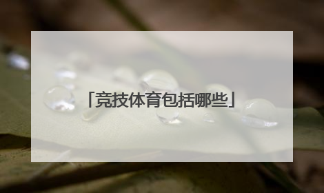 竞技体育包括哪些