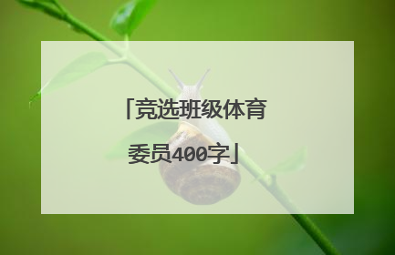 竞选班级体育委员400字