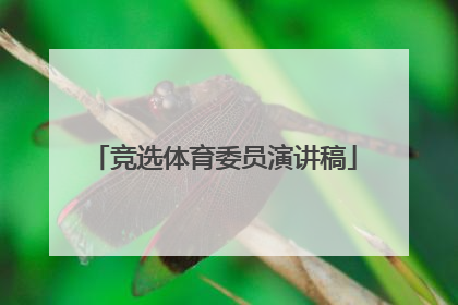 竞选体育委员演讲稿