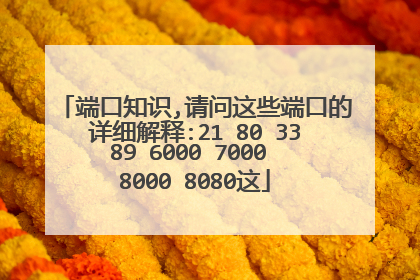 端口知识,请问这些端口的详细解释:21 80 3389 6000 7000 8000 8080这