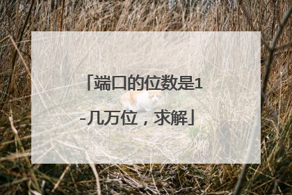 端口的位数是1-几万位，求解