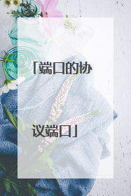 端口的协议端口