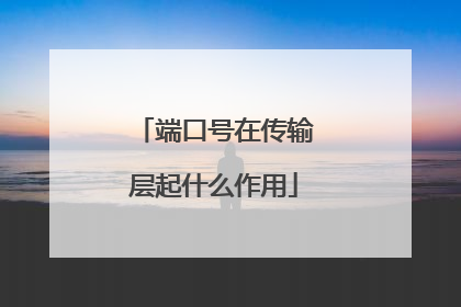 端口号在传输层起什么作用