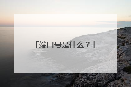 端口号是什么？