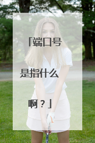 端口号是指什么啊?