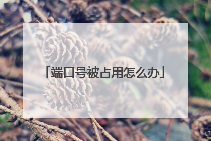 端口号被占用怎么办