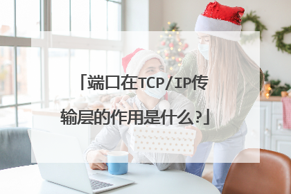 端口在TCP/IP传输层的作用是什么?