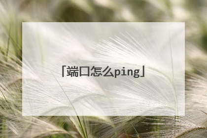 端口怎么ping