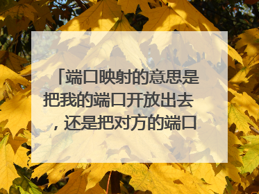 端口映射的意思是把我的端口开放出去,还是把对方的端口映射进来?