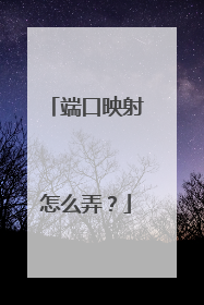 端口映射怎么弄?