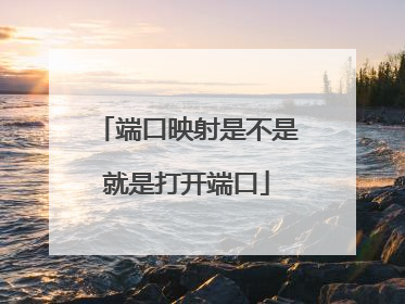 端口映射是不是就是打开端口