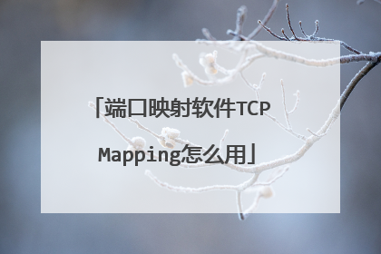 端口映射软件TCP Mapping怎么用