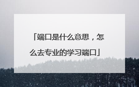 端口是什么意思，怎么去专业的学习端口