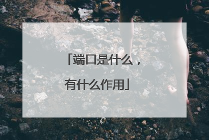 端口是什么,有什么作用
