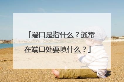 端口是指什么？通常在端口处要填什么？