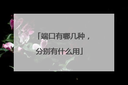 端口有哪几种,分别有什么用