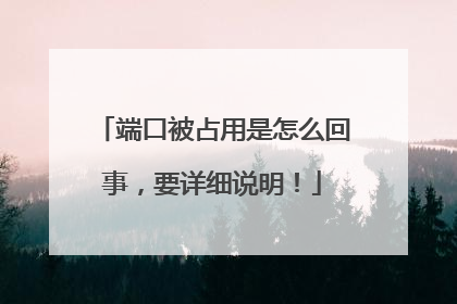 端口被占用是怎么回事，要详细说明！