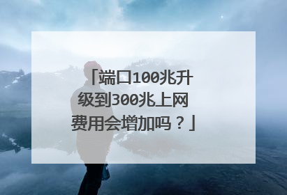 端口100兆升级到300兆上网费用会增加吗？