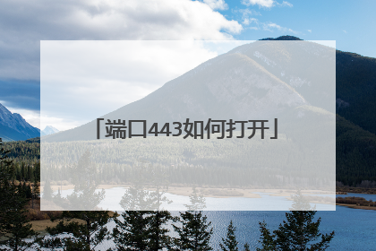 端口443如何打开