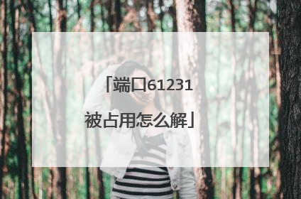 端口61231被占用怎么解
