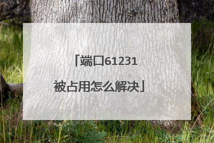 端口61231被占用怎么解决