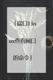 端口linux查看网口的命令