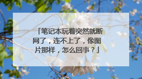 笔记本玩着突然就断网了，连不上了，像图片那样，怎么回事？